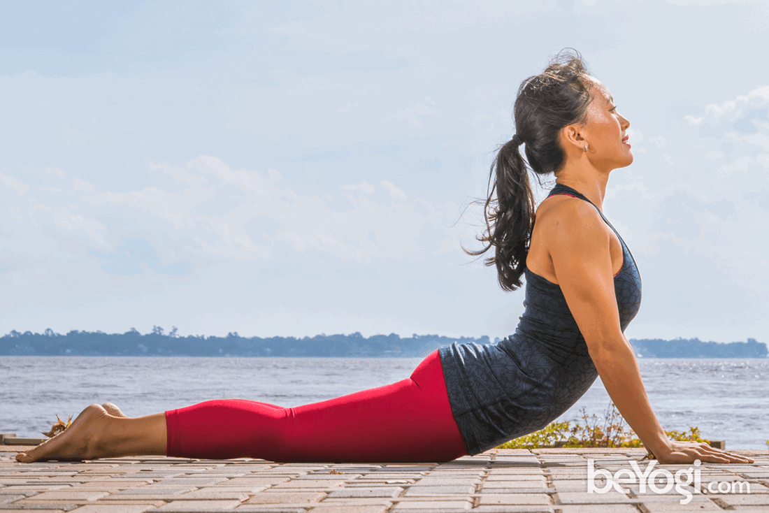 Urdhva Mukha Svanasana