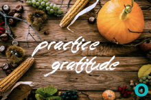 Harvesting Contentment with Santosha
