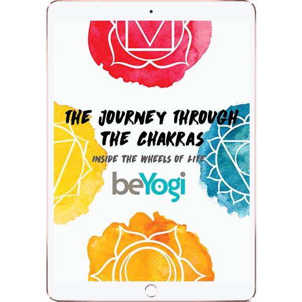 chakras ebook ipad